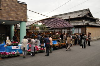 会場の一つ「いわひば　壽苑」は東海道沿いに位置しています。山野草の展示即売もありにぎわいました